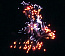 MC146 5